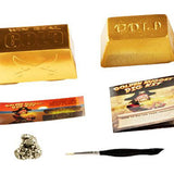 Dig for Real Gold by Discover with Dr. Cool