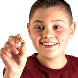 Dig for Real Gold by Discover with Dr. Cool