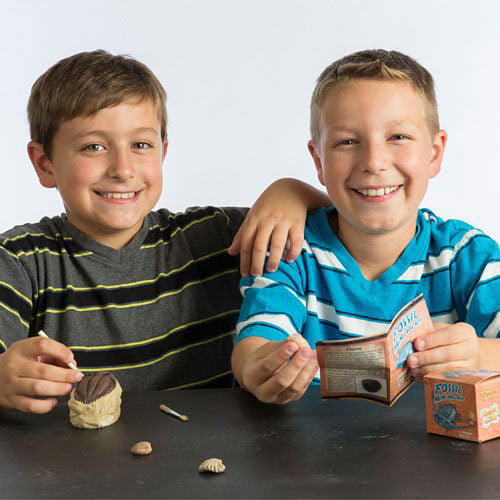 Discover with Dr. Cool Mini Fossil Excavation Science Kit