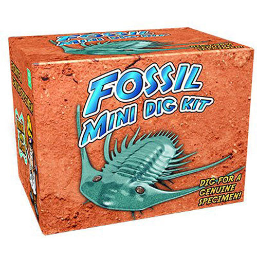 Discover with Dr. Cool Mini Fossil Excavation Science Kit