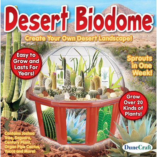Desert Biodome Terrarium - Catalog