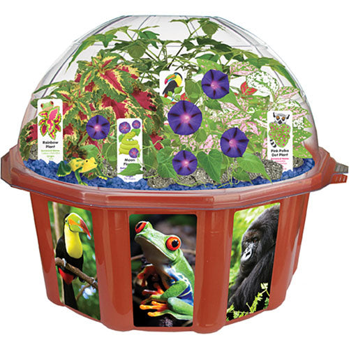 Rainforest Biosphere Catalog 2012