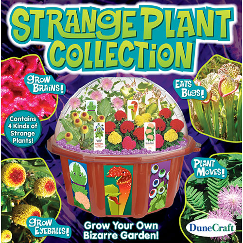 Strange Plants Dome Terrarium - Catalog