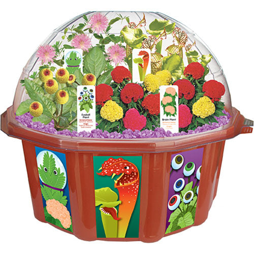 Strange Plants Dome Terrarium - Catalog