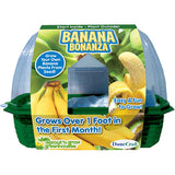 Banana Bonanza