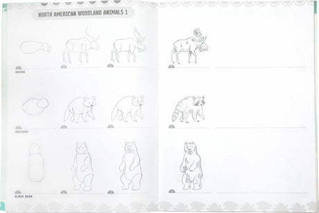 Learn to Draw Wild Animals (Art book with Stickers)