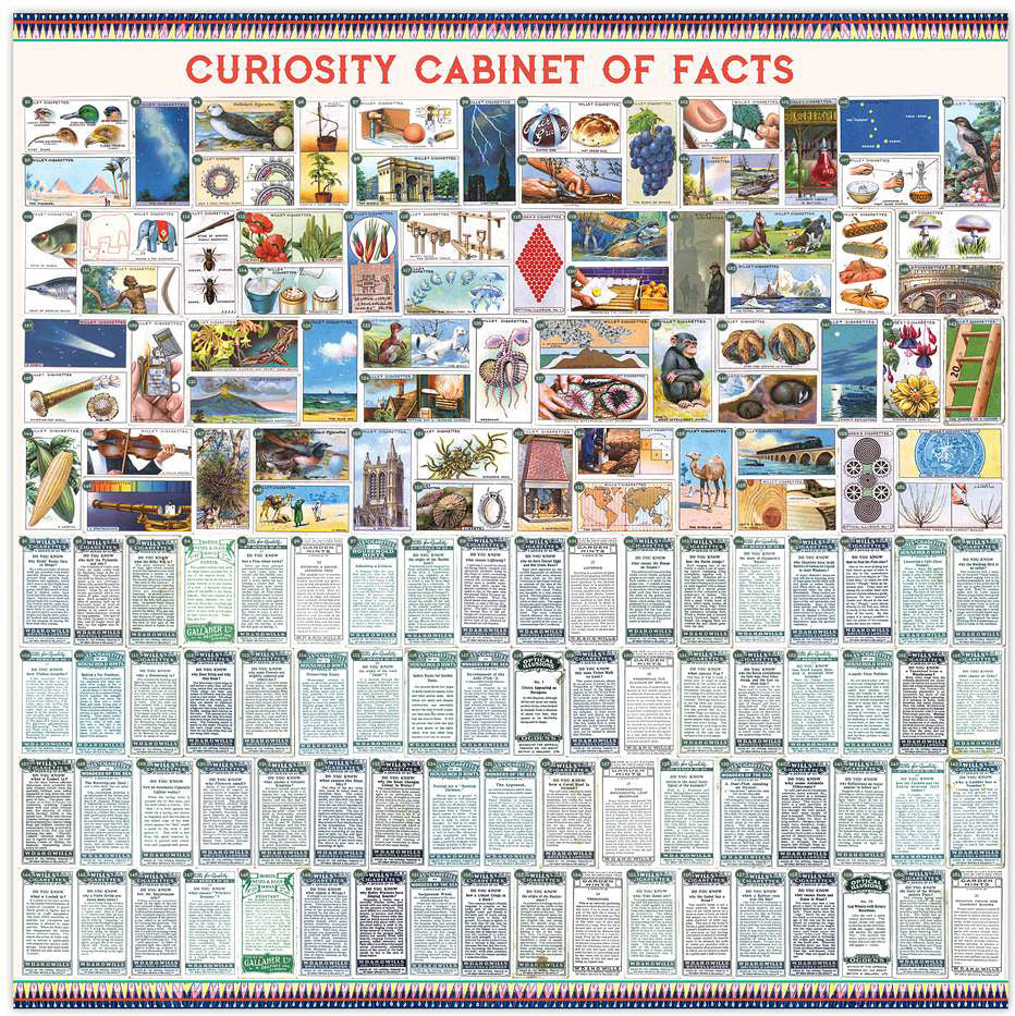 Curiosity Cabinet of Facts 1000 Piece Puzzle