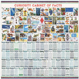 Curiosity Cabinet of Facts 1000 Piece Puzzle