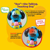 Hot Dots® Jr Let's Master Kindergarten Math Set with Ace—The Talking Teaching Dog® Pen