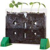 Sprout & Grow Window