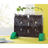 Sprout & Grow Window
