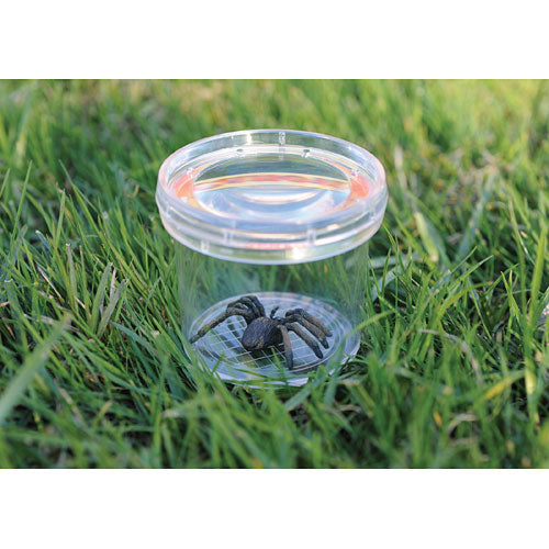 GeoSafari Jr. Bug Viewer