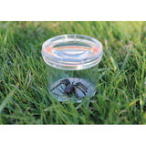 GeoSafari Jr. Bug Viewer