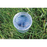 GeoSafari Jr. Bug Viewer