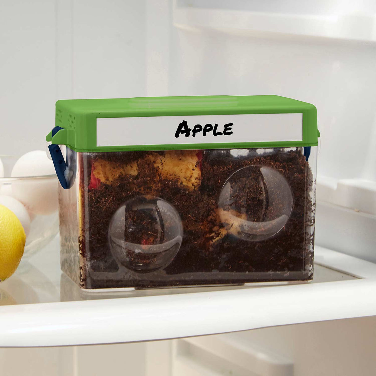 GeoSafari Compost Kit