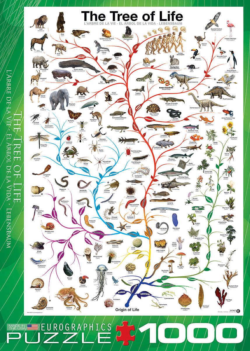 The Evolutionary Tree of Life 1000-Piece Puzzle