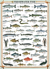 Animal Charts - Freshwater Fish