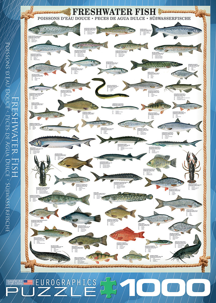 Animal Charts - Freshwater Fish