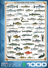 Animal Charts - Freshwater Fish