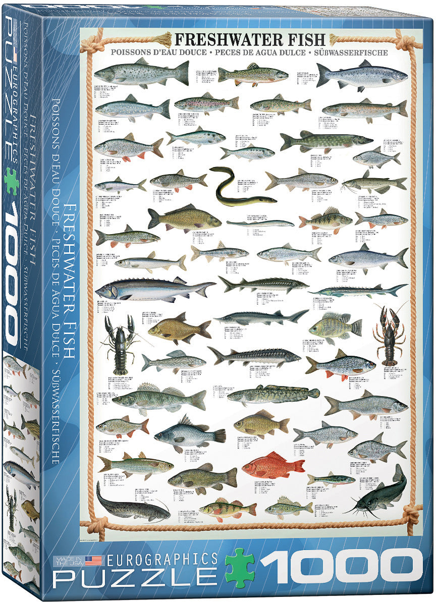 Animal Charts - Freshwater Fish