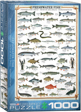 Animal Charts - Freshwater Fish