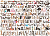 World of Cats 1000-Piece Puzzle