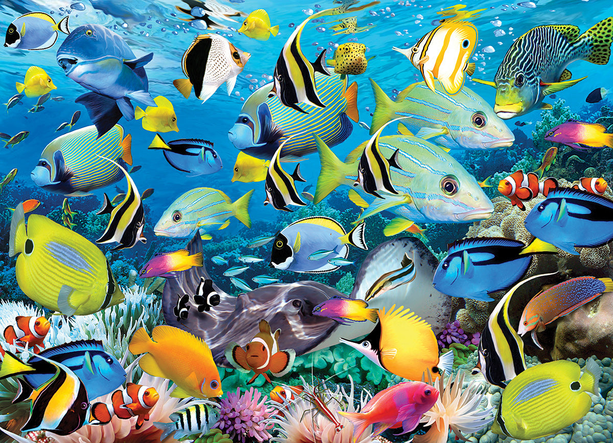 Colour Reef 1000-Piece Puzzle