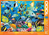 Colour Reef 1000-Piece Puzzle