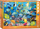 Colour Reef 1000-Piece Puzzle