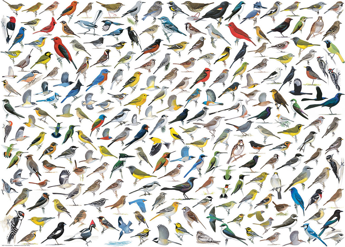 The World of Birds, by David Sibley 1000-Piece Puzzle