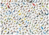 The World of Birds, by David Sibley 1000-Piece Puzzle