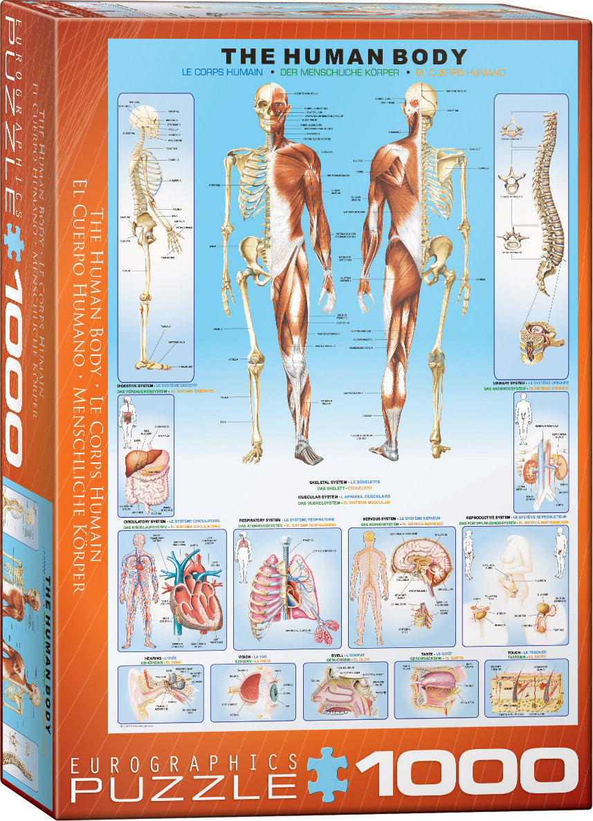 Human Body 1000-Piece Puzzle