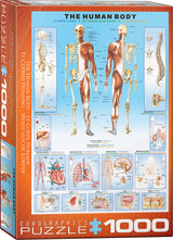 Human Body 1000-Piece Puzzle