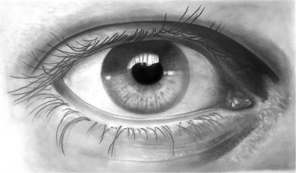 Graphite Sketch Set