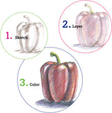 Do Art Color Pencil Art Catalog 2012