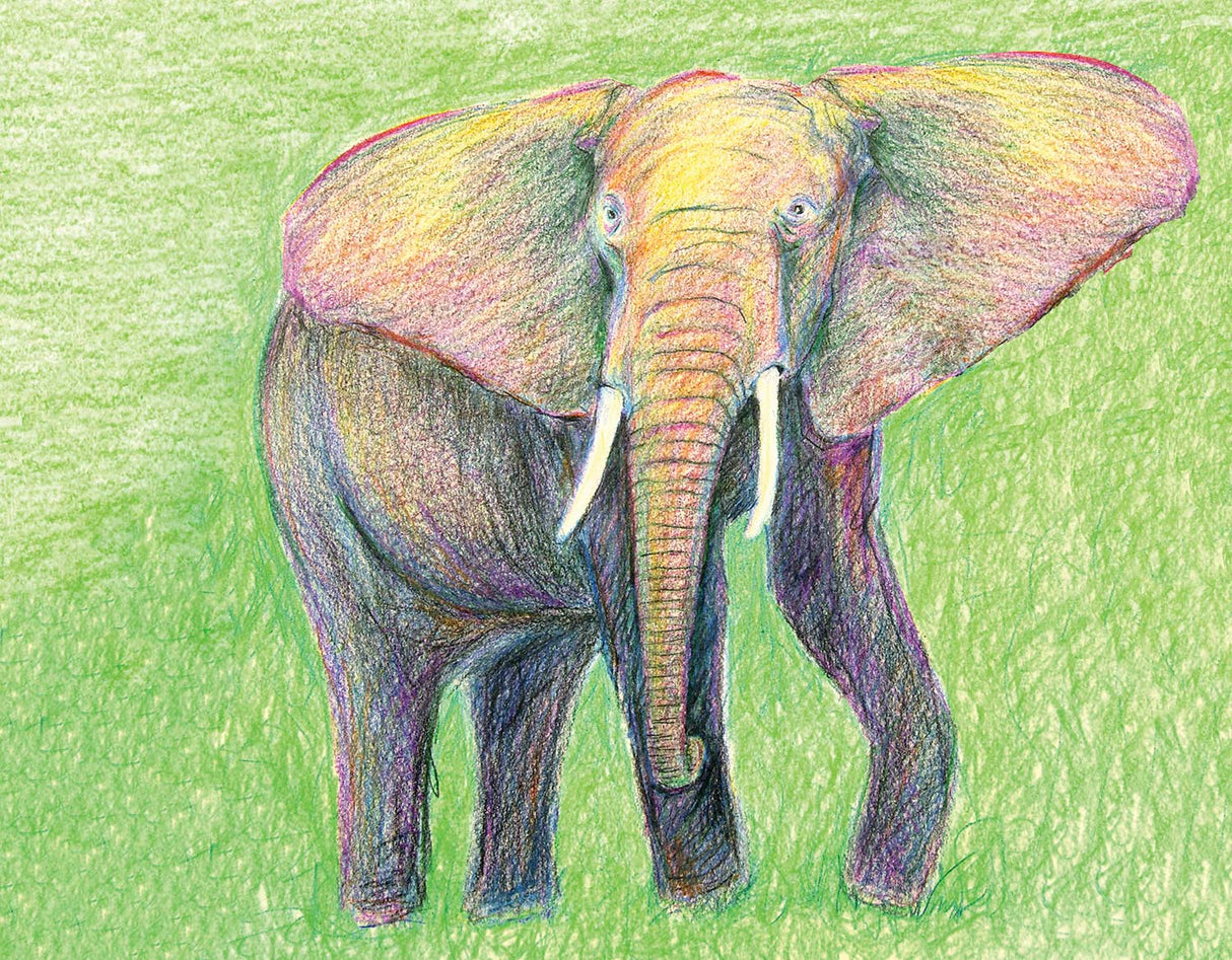 12ct MAX Colored EcoPencils