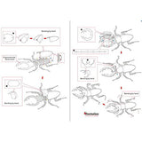 Fascinations Metal Earth Tarantula 3D Metal Model Kit