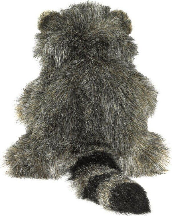 Baby Racoon