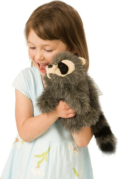 Baby Racoon
