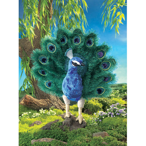Large Peacock