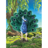 Large Peacock