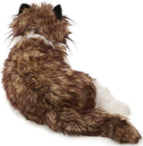 Ragdoll Cat