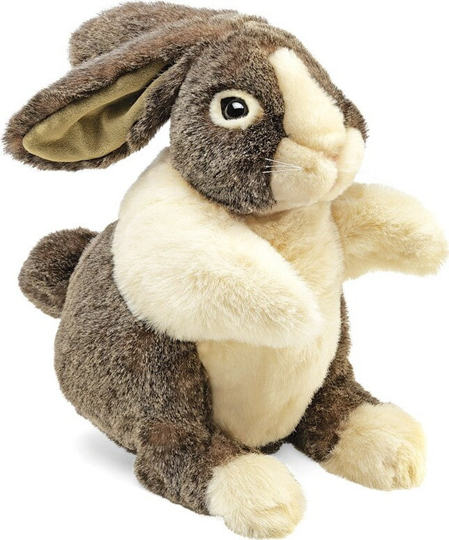 Dutch Rabbit