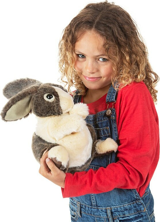 Dutch Rabbit
