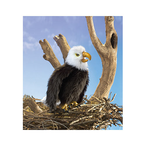 Perched Eagle