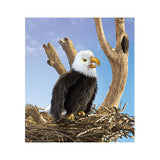 Perched Eagle
