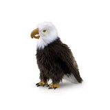 Perched Eagle