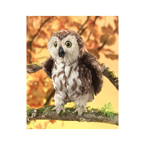 Saw-whet Owl