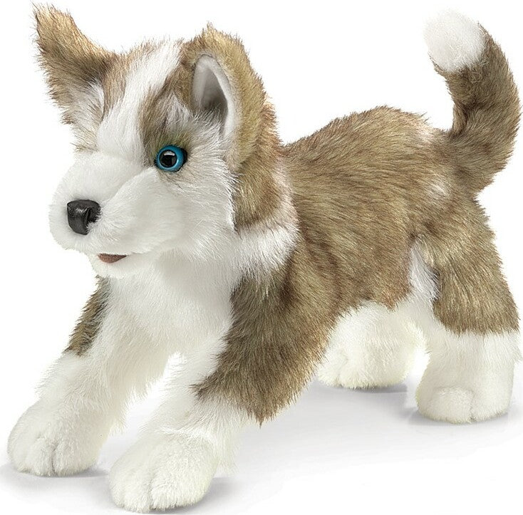 Wolf Pup