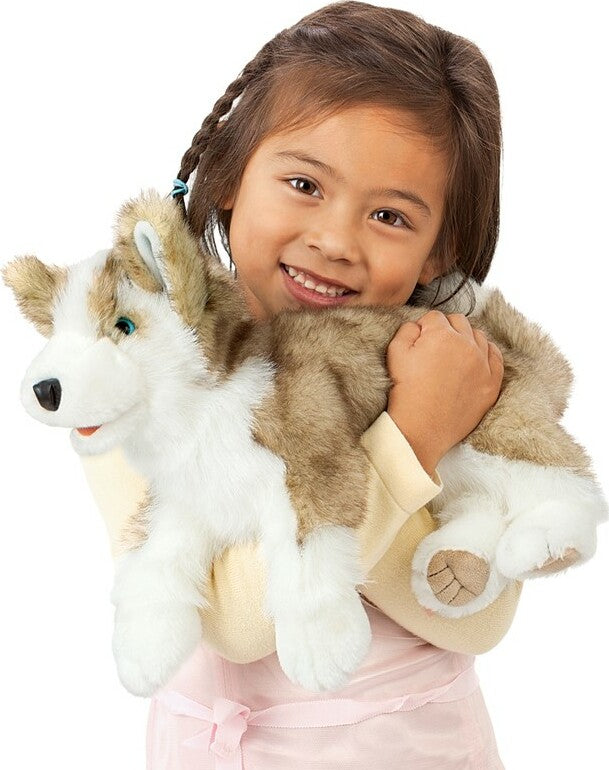 Wolf Pup
